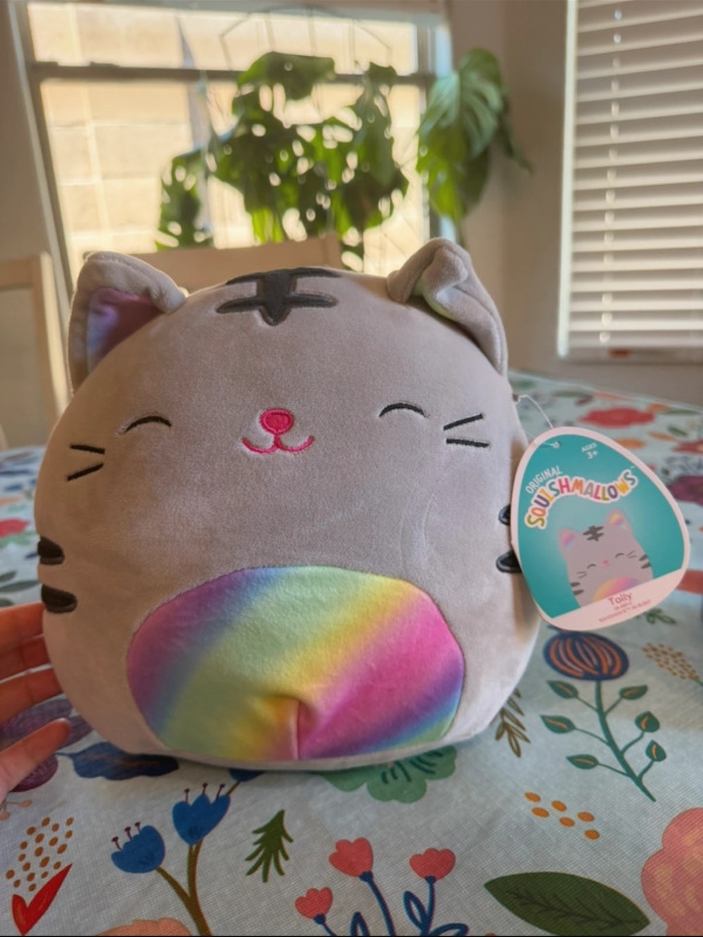 Squishmallows Gray Cat Plush with Rainbow Belly